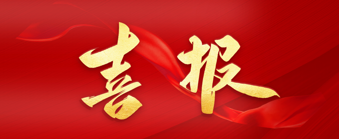 全市唯一！安徽EMC易倍(中国)科技产业（集团）有限公司与宿州市高新区管委会、宿州学院联合申报“安徽省专利导航服务基地”成功获批
